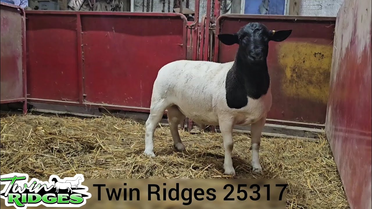 Twin Ridges Twin Ridges 25317 - YouTube