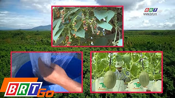 Xuyên Mộc đẩy mạnh phát triển nông nghiệp ứng dụng công nghệ cao