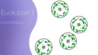 Cell Lab - Evolution 1 | 0-10000 Hours