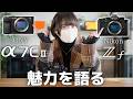 【比較】Sony α7C II vs Nikon Zf|結局どっち?優劣ではなく撮影体験で整理