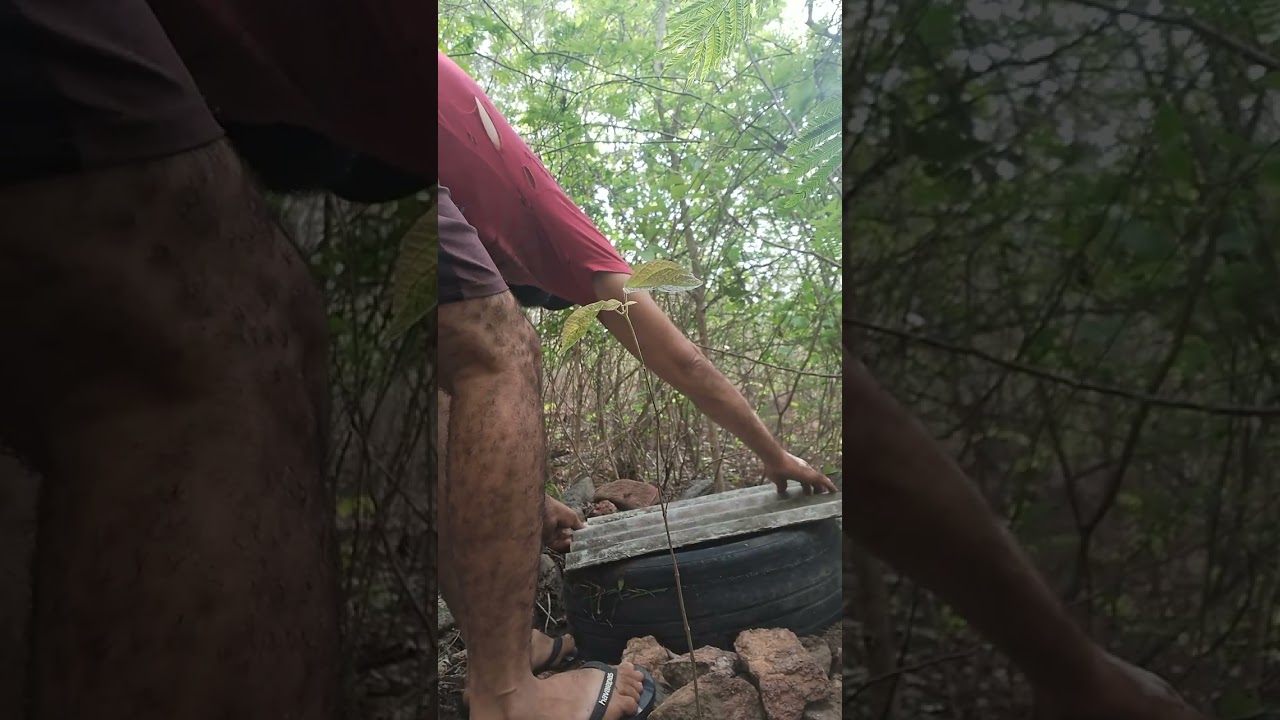 Fazendo uma casa de abelha  no pinel 