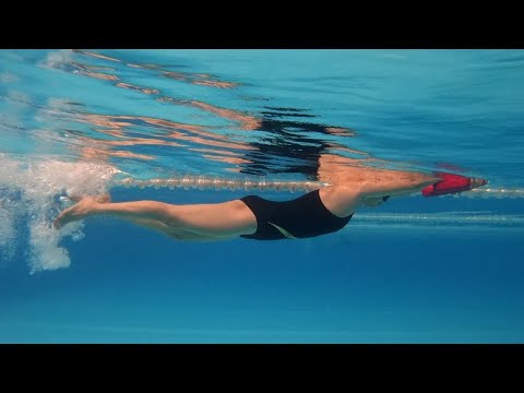 Video Hướng dẫn bài tập chân trong bơi sải - youtube