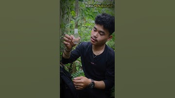 Kami Di Serang Ribuan Nyamuk Di Tengah Hutan.! #survival #outdoors #bushcraft #camping