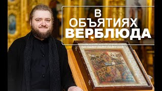 видео: В ОБЪЯТИЯХ ВЕРБЛЮДА. Отец Савва (Мажуко) картинка: В ОБЪЯТИЯХ ВЕРБЛЮДА. Отец Савва (Мажуко)