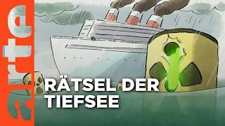 20.000 Augen unter dem Meer