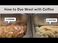Wake Up and Dye: How to Create Beautiful Combed Top with Coffee!🌅☕🐑