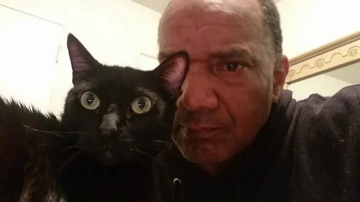 Watch the video about I love cats my maine coon Abyssinian black cat AMEN i love all animals