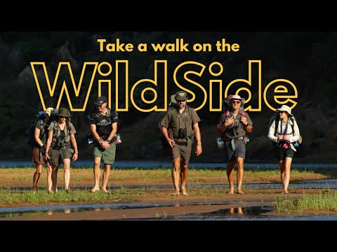 The Ultimate Walking Safari In Pafuri Kruger National Park