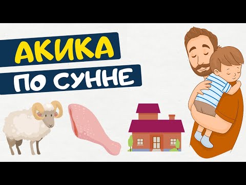 Видео: Почему так важна акика?