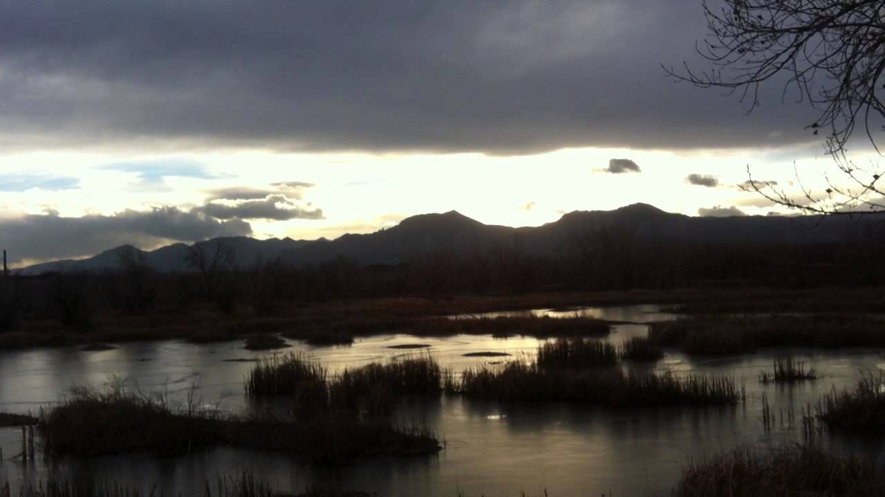 Sawhill Ponds_9254[1].MOV