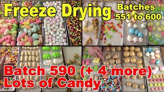 What Happens When You Freeze Dry Candy? This is Freeze Drying TKOR Style! 