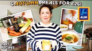 5 Meals For UNDER £25 From Aldi | Easy Budget AUTUMN/FALL Family Meals | 5 For £25 Meals Part 2