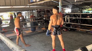 Absorbing all Muay Thai knowledge as possible!