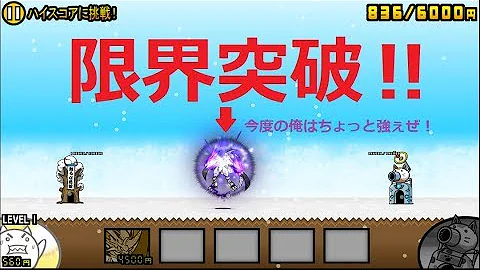 最強ネコムート