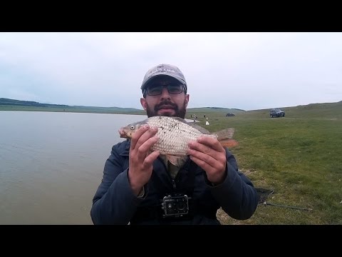 თევზაობა კობრზე და თეთრ ამურზე ტბაზე