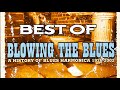 A history of blues harmonica   1926   2002   disc 3 full album