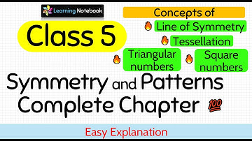 Class 5 Symmetry and Patterns (Complete Chapter)