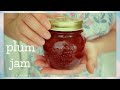 ??? ??? ???? ??????. |Plum jam|???eunkomy