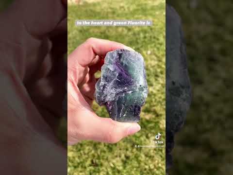 Metaphysical Properties of