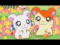Hamtaro - ミラクルルン グランプリン! (Short Cover)