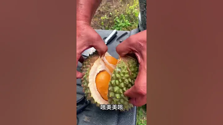 號外x2! 我家的第一粒黑刺榴槤終於跌啦! - 天天要聞