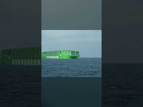 САМЫЙ БОЛЬШОЙ КОНТЕЙНЕРОВОЗ в МИРЕ! #shorts