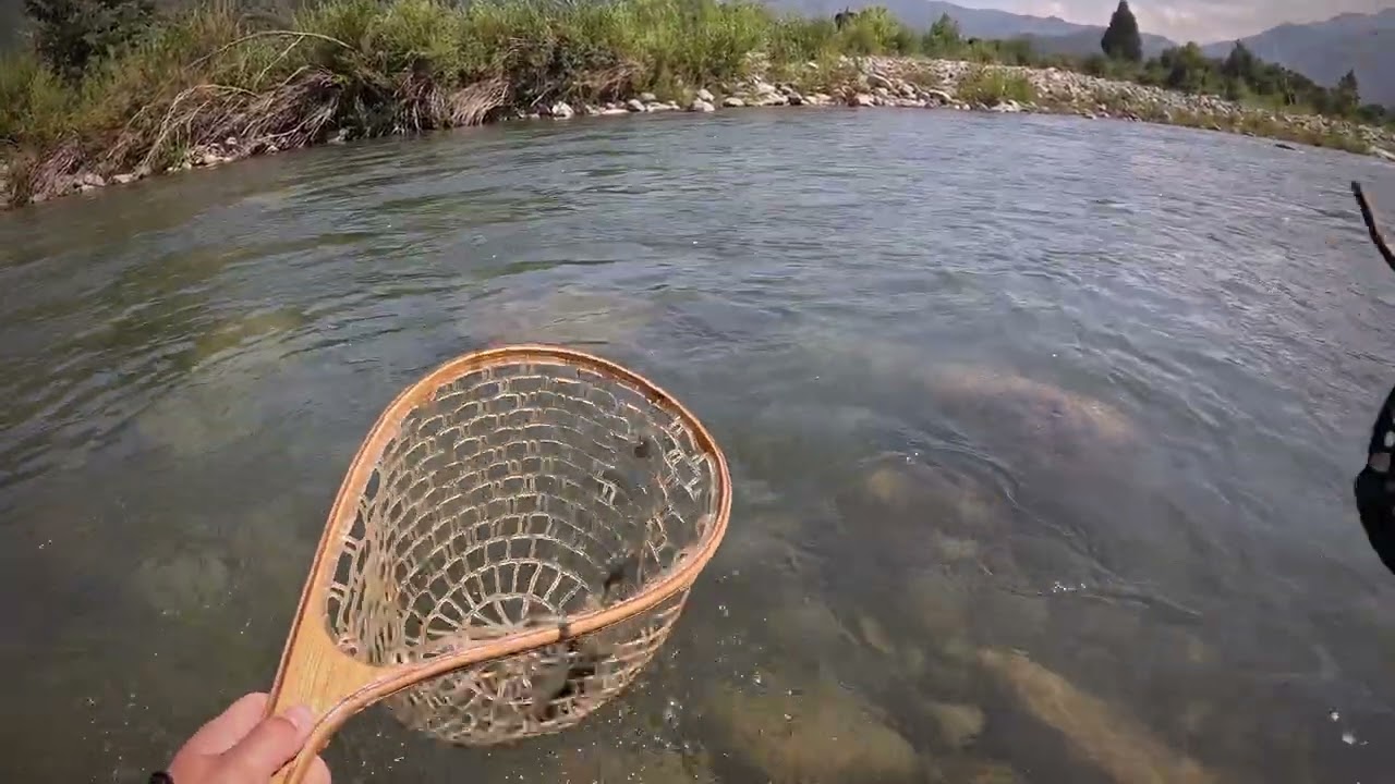 T26 cap 4 Pesca con mosca y amigos..@dragonfly-pescaconmosca-li1809 