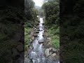 Waterfall of Neidong National Forest Recreation Area-內洞國家森林遊樂區瀑布