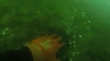 12 23 21 Floating Dock Before