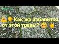 Возможность удаления травы из промежутков между тратуарной плитки или камней. 😊 @Серж TV