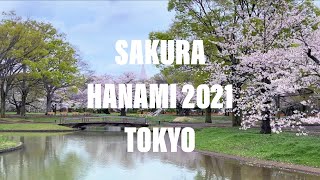 TOKYO SAKURA HANAMI 2021