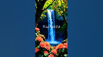 قرأن كريم تلاوة خاشعة راحة نفسية قرأن كريم تخشع له القلوب #قران_كريم #قرآن #المصحف #elmulquranعلم
