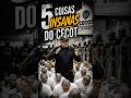 5 COISAS QUE IMPRESSIONAM ao ENTRAR no CECOT.