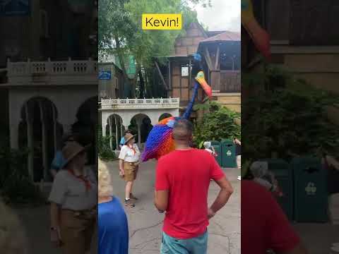 Kevin! Animal Kingdom