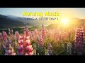 Beautiful Morning Music - Happy and New Positive Energy - Morning Meditation Music To Wake Up, Relax