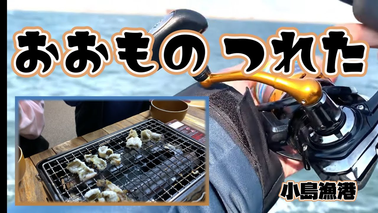 夜の漁港で特製塩イソメに大物が‼︎【小島漁港　堺海釣りテラス】