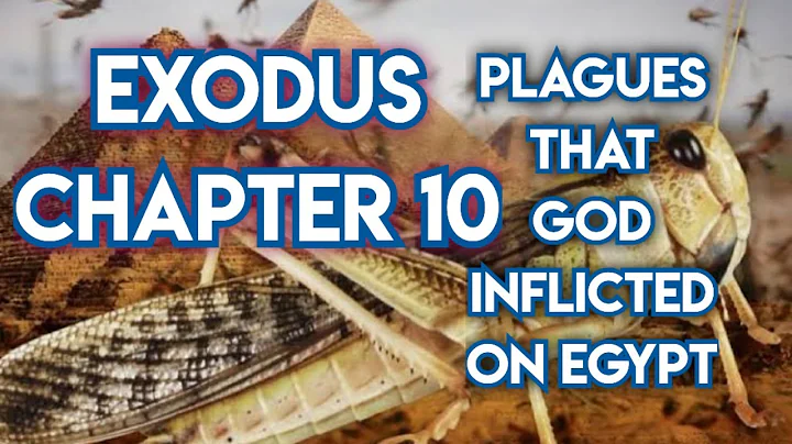 THE HOLY BIBLE | EXODUS CHAPTER 10 (KJV)