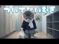 【社畜ねこのむぎ】ついてないにゃ... 不運に見舞われたむぎの1日に密着🐱