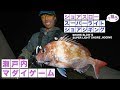 ショアスロー×瀬戸内マダイ 沼田純一のショアスロー