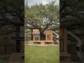 Building the Ultimate Modern Treehouse: Start to Finish #epoxyfloor #interiordesign
