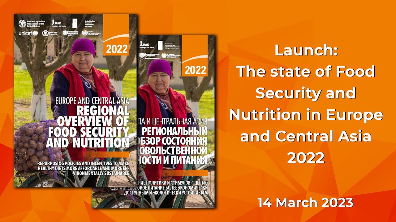 Launch: The State of Food Security and Nutrition in Europe and Central ...