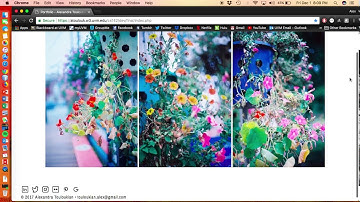 Web Usability Test: Round 1 - Emily