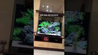 Adu Mekanik Sound Jawa Part 2  yongshun X uplkb shortsfeed youtubeshorts fyp