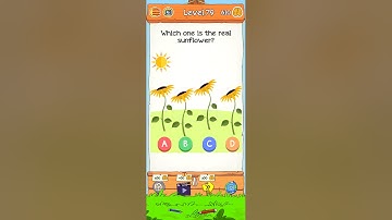 Braindom 2 Riddle Level 79-80  Gameplay Solution Walkthrough