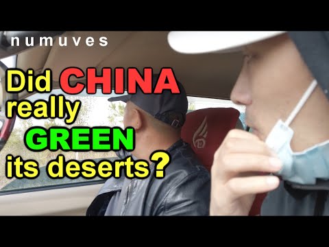 Did CHINA really GREEN its deserts? Travel & check VLOG | I met a DESERT SHEPHERD!