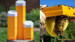 A Kickstarter Project We Love: Hex Hives - 3D Printable Bee Hives for Everyone