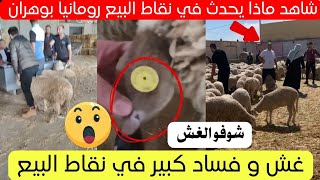 شاهد مواطن يكشف ما يحدث في نقاط بيع كباش رومانيا بوهران😱