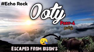 Ooty | Echo rock | Touching the clouds | above the clouds | Bison spotted😲 #ooty #Echorock