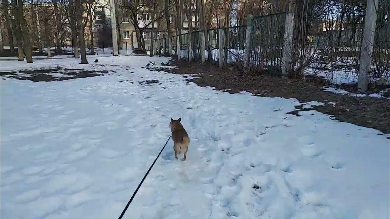 температура воздуха днём сегодня. праздничные дни в феврале 2024. харьков 22 января 2024. харьков 22 января 2024. харьков 22 января 2024.