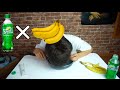 バナナ×スプライトで必ず吐くって本当？  Banana and Sprite Challenge